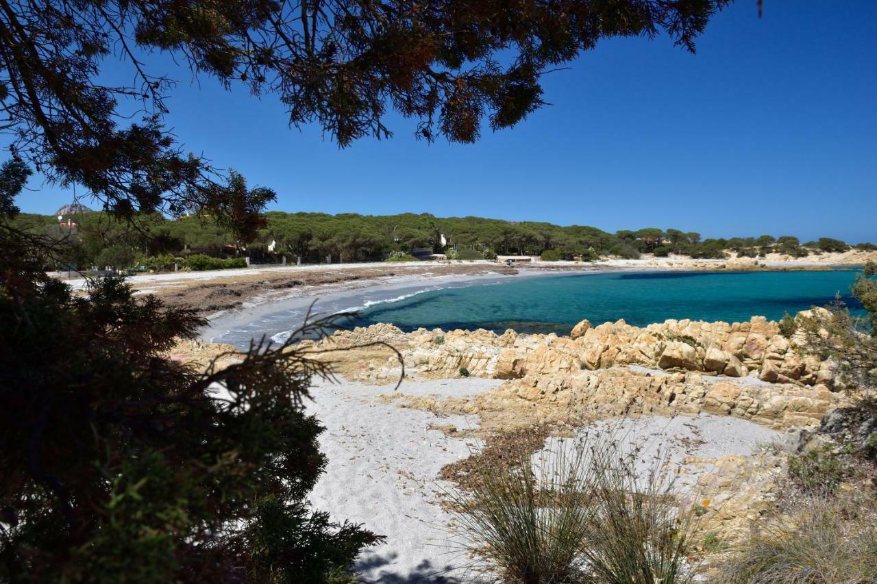 Villa Arancio Cala Liberotto Dış mekan fotoğraf